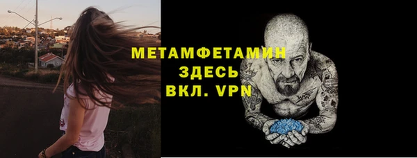 метадон Богданович
