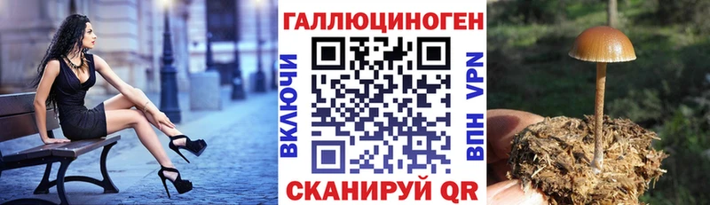 Галлюциногенные грибы GOLDEN TEACHER  сайты даркнета наркотические препараты  Ростов-на-Дону  где купить наркотик  мега рабочий сайт 